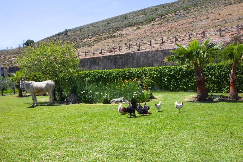 Al Agia - Los Molinos De Padul Luaran gambar